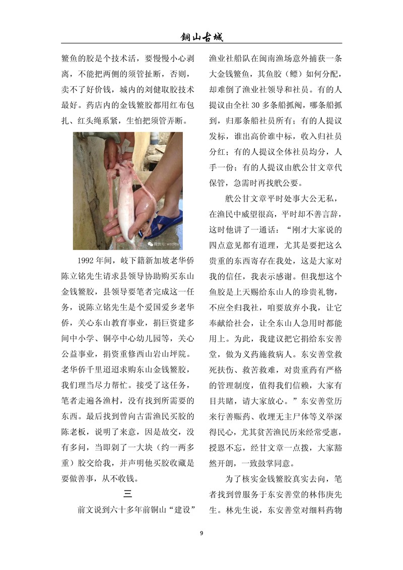 铜山古城（第七十七期)(图9)
