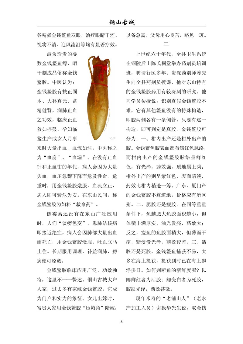 铜山古城（第七十七期)(图8)