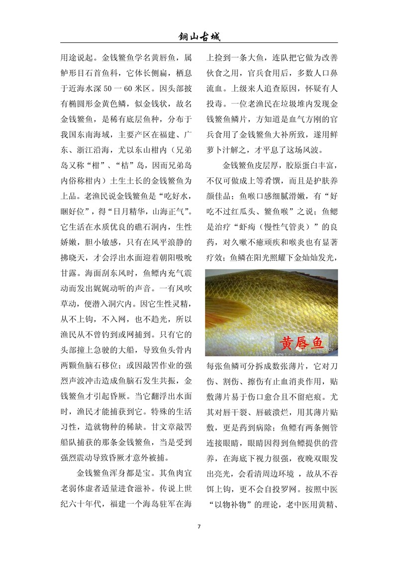 铜山古城（第七十七期)(图7)